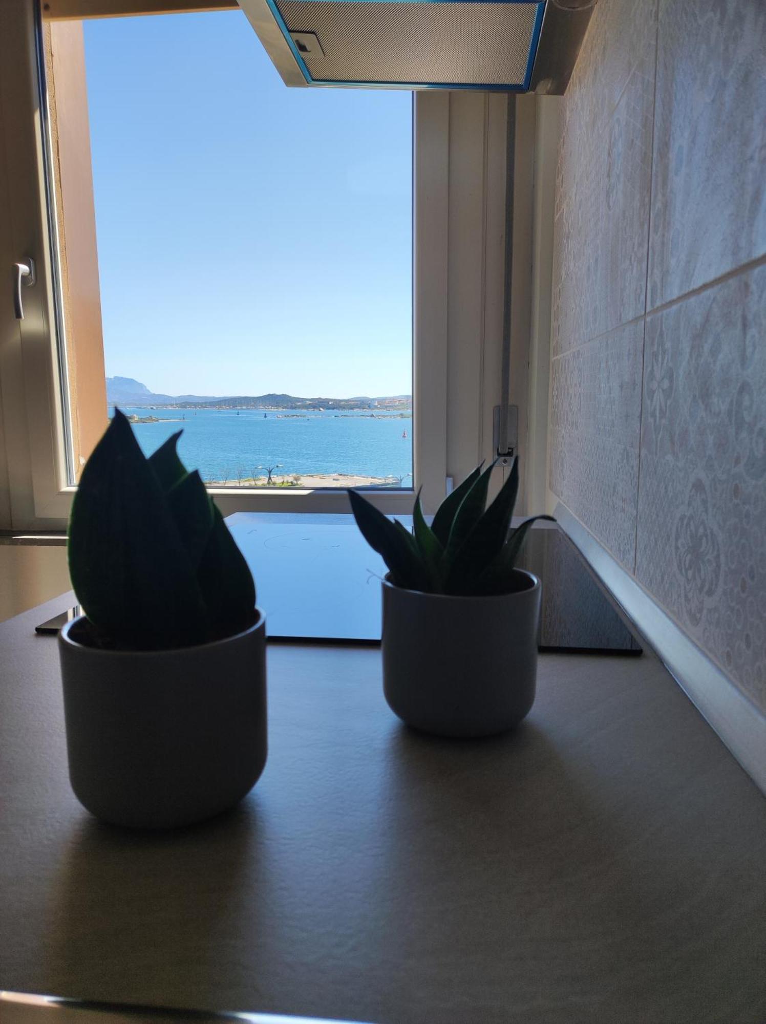 Seaside Apartments Casa Carla E Casa Andrea Olbia Esterno foto